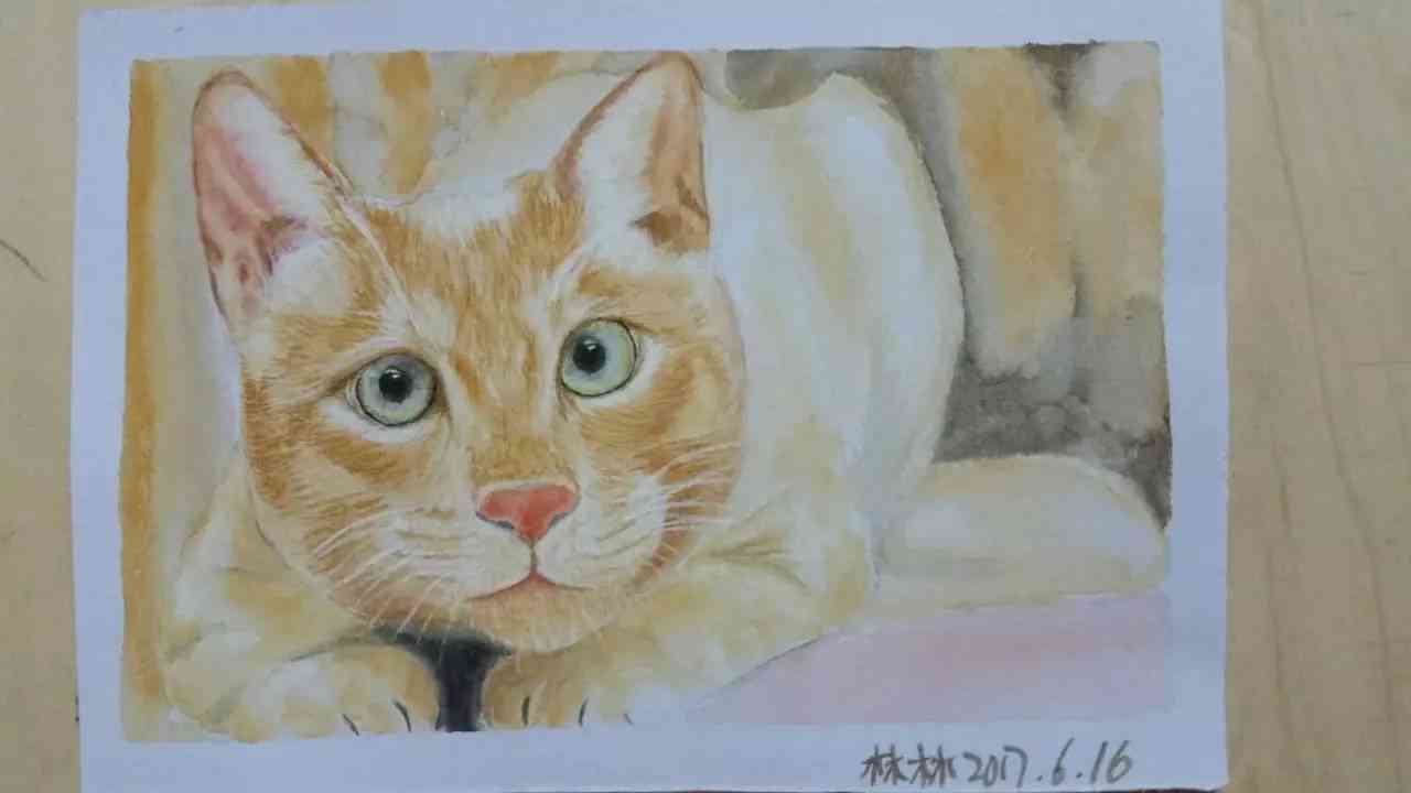 如何巧妙运用话题标签提升猫绘画作品曝光率