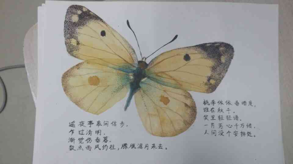 彩绘心语：蝴蝶美术创意文案