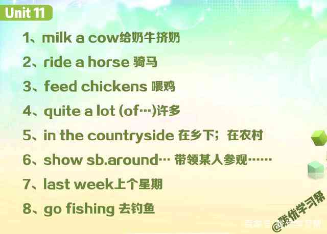 菌语启示录：蘑菇的智慧短语