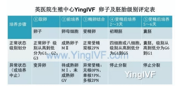 尘肺病怎么认定工伤：条件、时效、流程、办法及级别判定