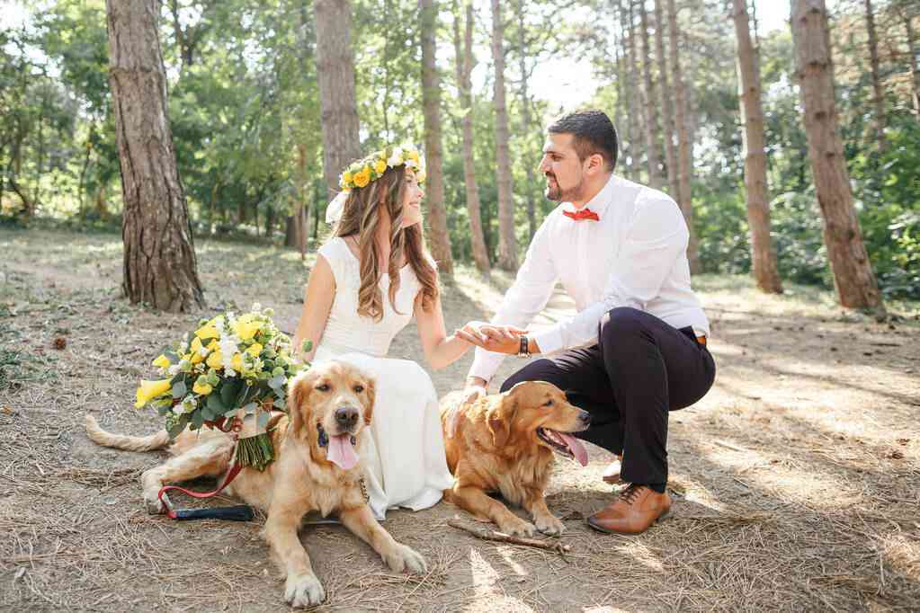 一键生成个性化婚纱照：满足多种风格与需求的智能婚纱照解决方案