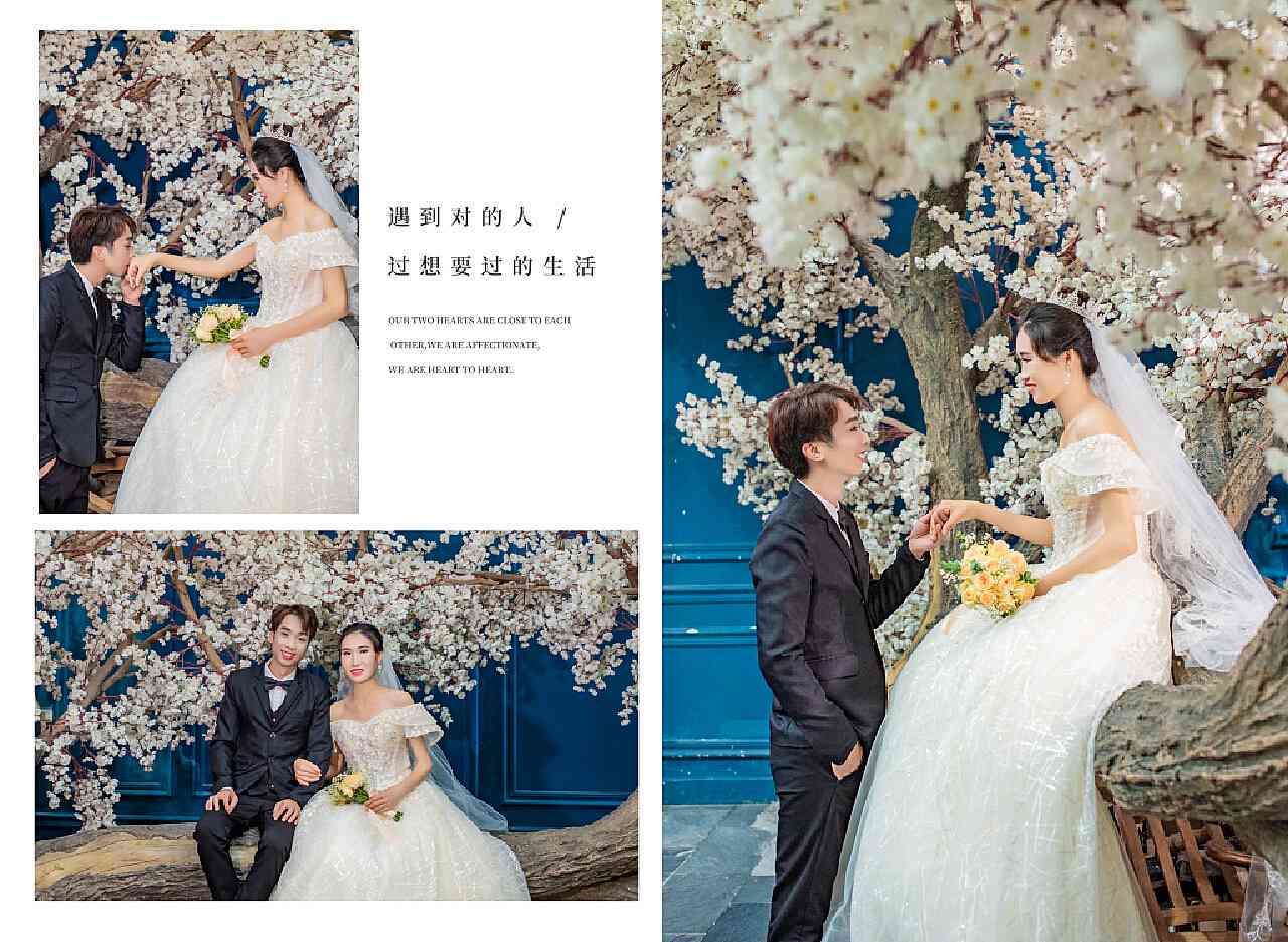 婚纱照片生成器-婚纱照片生成器