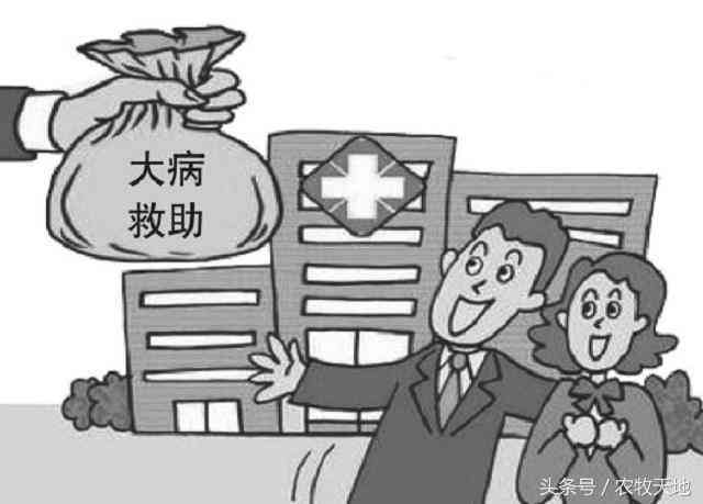 心衰可以申请病退吗：如何申请及是否合大病救助条件