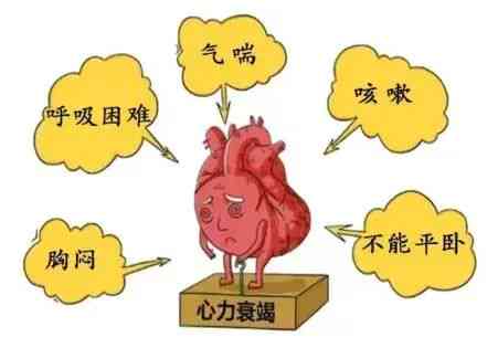 心衰患者如何平工作与健状况：工作建议与生活调整全解析