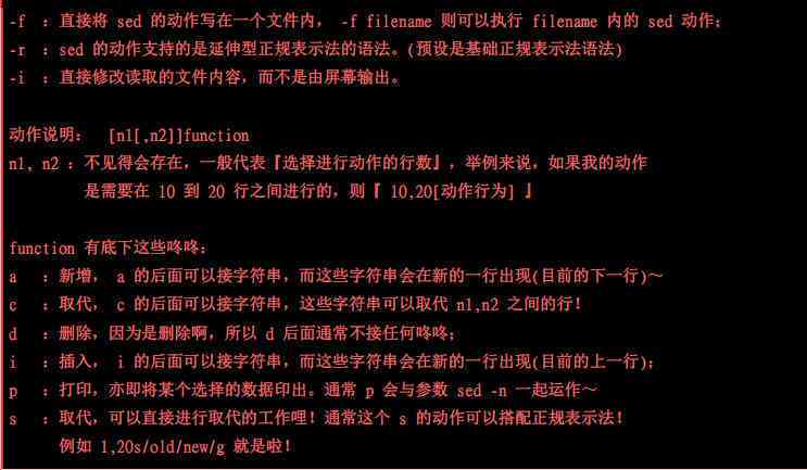 如何选择脚本编写软件：全面指南及热门工具推荐