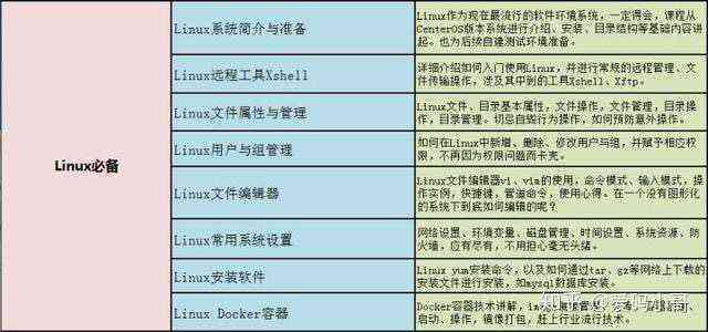 写脚本用什么语言和软件好，以及推荐文档类型和优劣分析