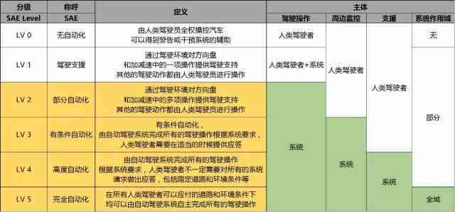 志愿者工伤等级认定的详细标准与流程：全面指南解析各类志愿者工伤评定情形