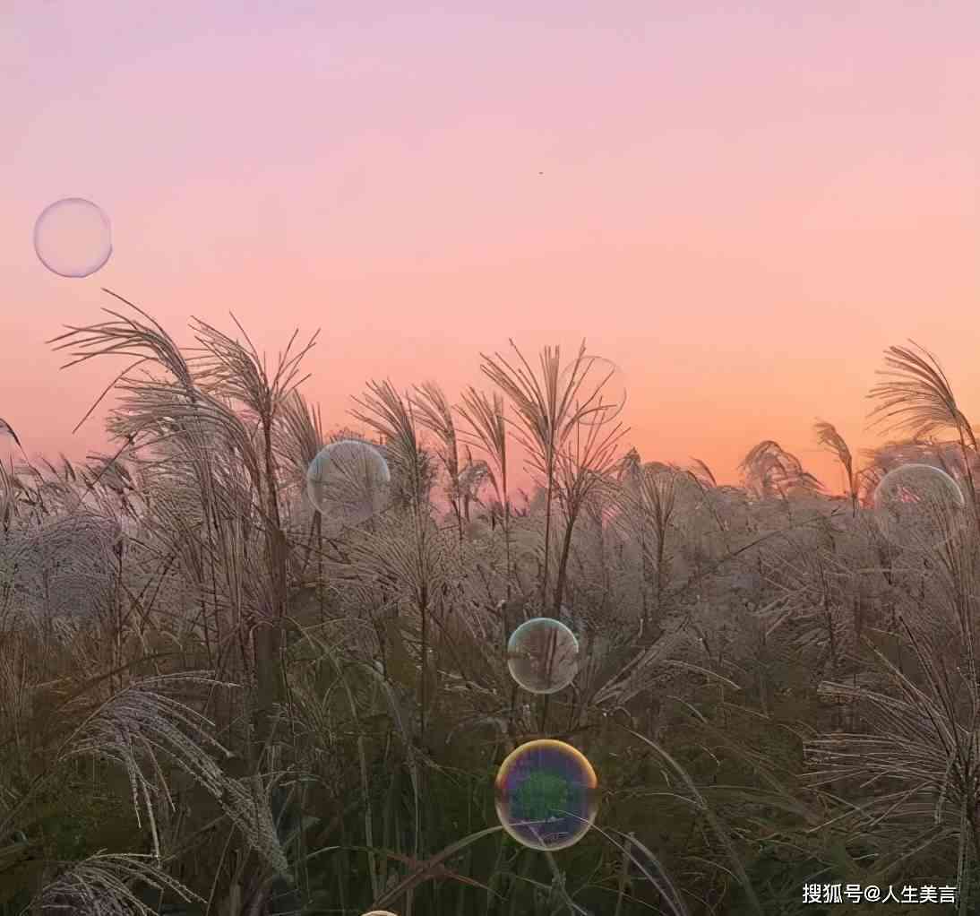 傻傻文案短句治愈系，最火一句傻瓜文案集结，太傻文案精选