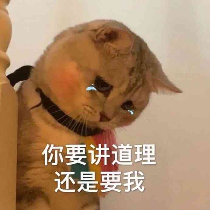 文案搞笑爱情：短句句子长句集锦，简短搞笑关于爱情文案
