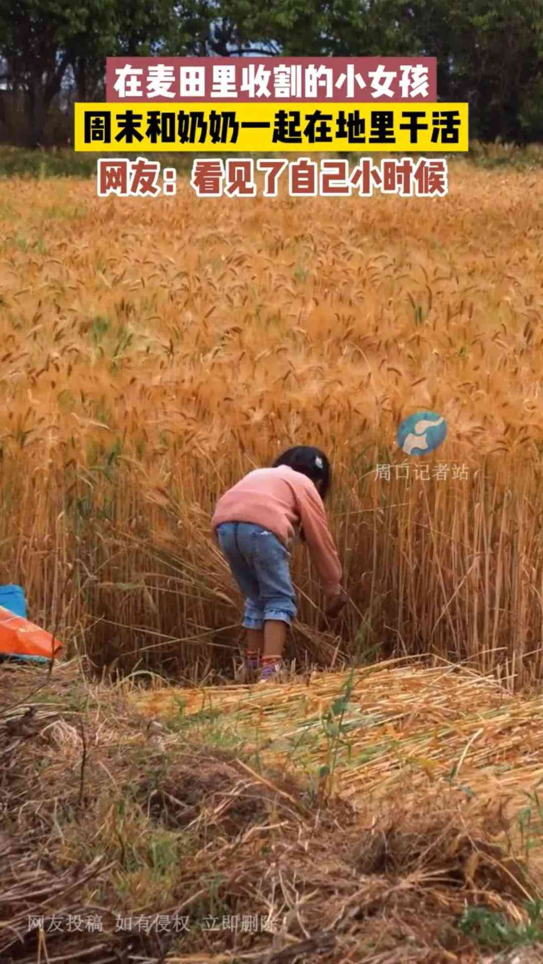 AI文案攻略：全方位掌握利用人工智能撰写吸引眼球的文案技巧