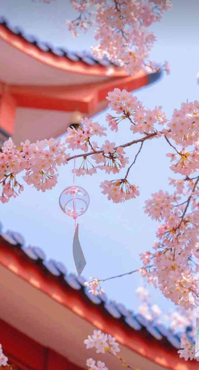 ai古风樱花壁纸文案