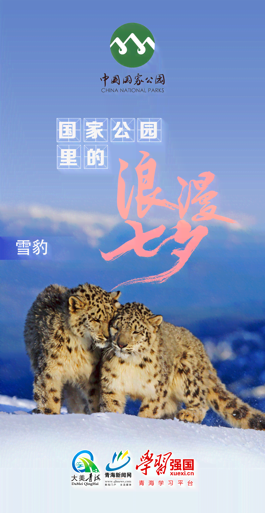 ai动物七夕海报文案