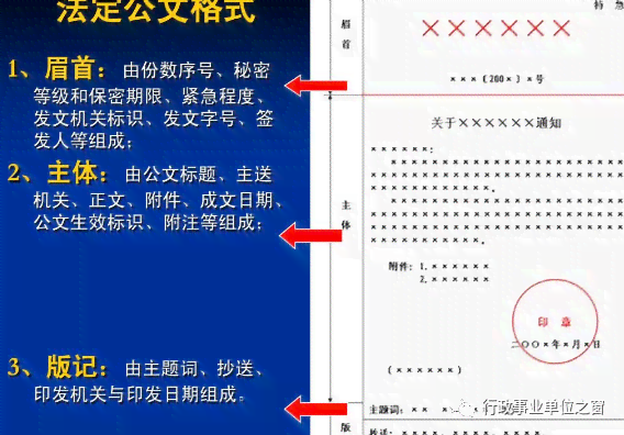 写作倡议书格式：公文写作与范文大全