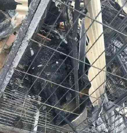 火灾后如何申请救助与补偿：全面指南及常见问题解答