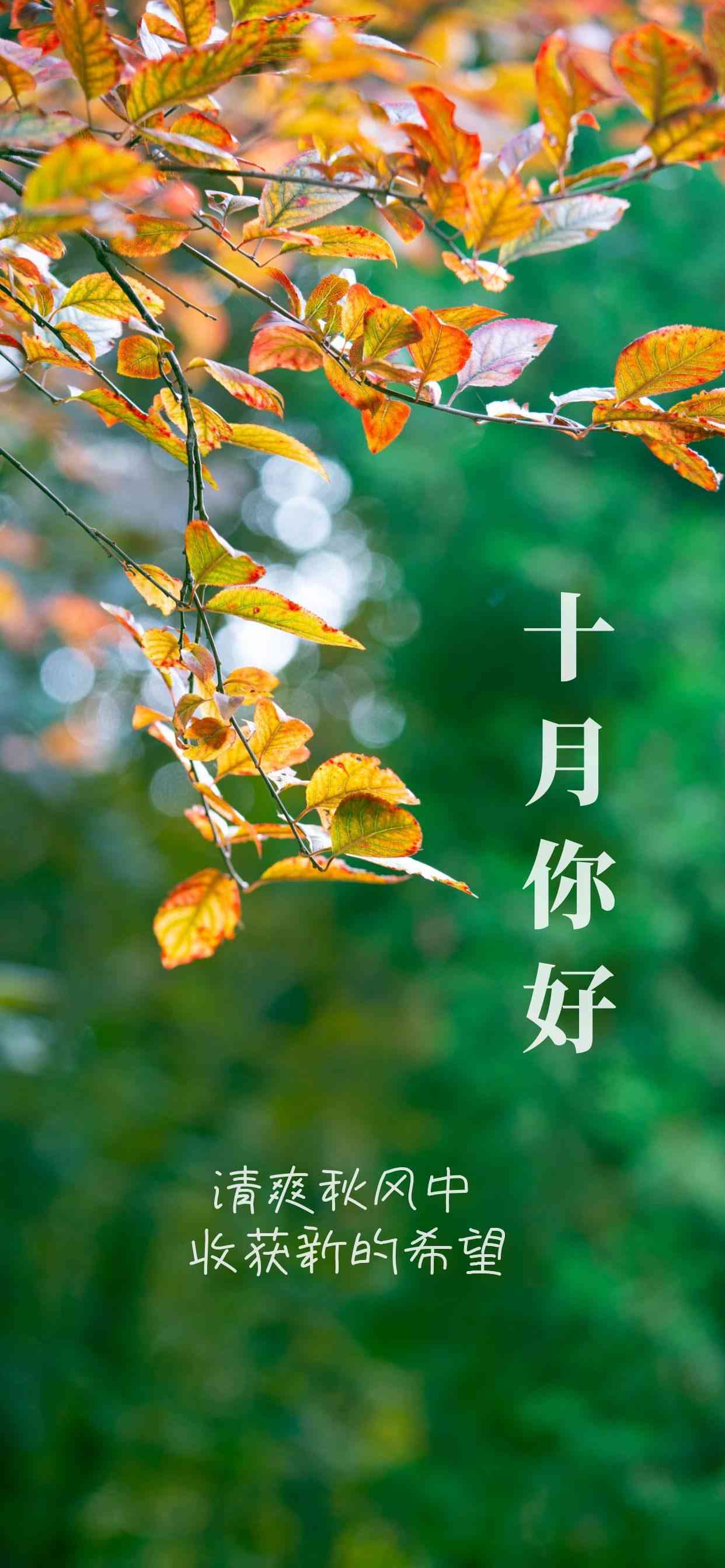 打造独特AI气质：全面朋友圈文案短句攻略与灵感汇编