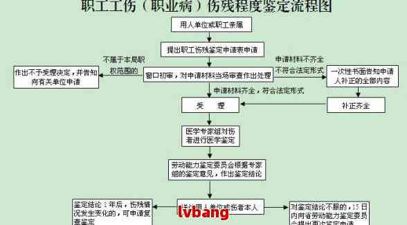 工伤等级伤残认定申请流程详解：如何办理工伤伤残等级鉴定