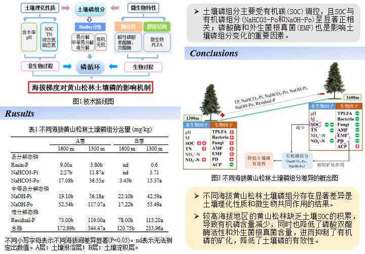 知网学术报告：BC领域研究进展与成果综述