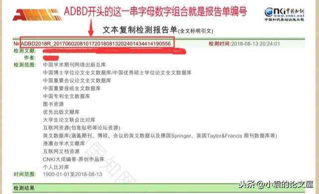 全面解读知网报告单BC：深入分析及常见问题解答指南