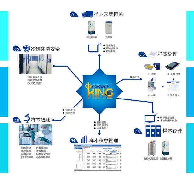 ai自动拼版软件脚本：高效排版解决方案助力出版行业