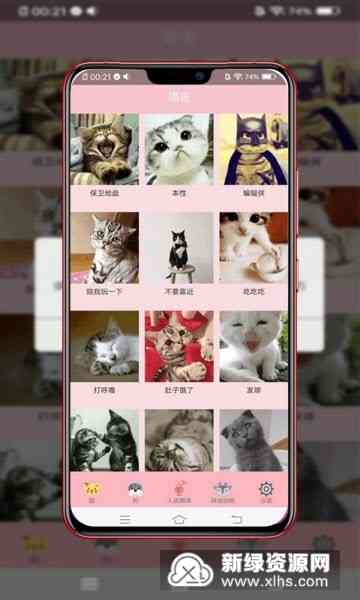 '智能写作助手猫：实时翻译与创意写作新篇章'