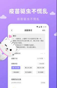'智能写作助手猫：实时翻译与创意写作新篇章'