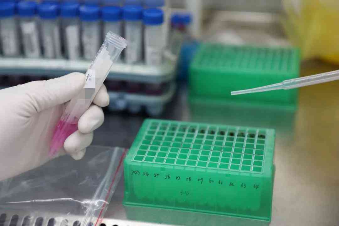 自费进行格子达核酸检测详细指南