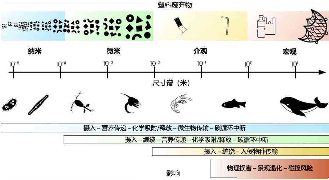 捕鲸历研究进展与AI辅助写作综述