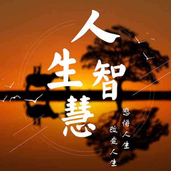 小和智慧文案集锦：涵心灵疗愈、生活哲学与人生感悟的精选故事