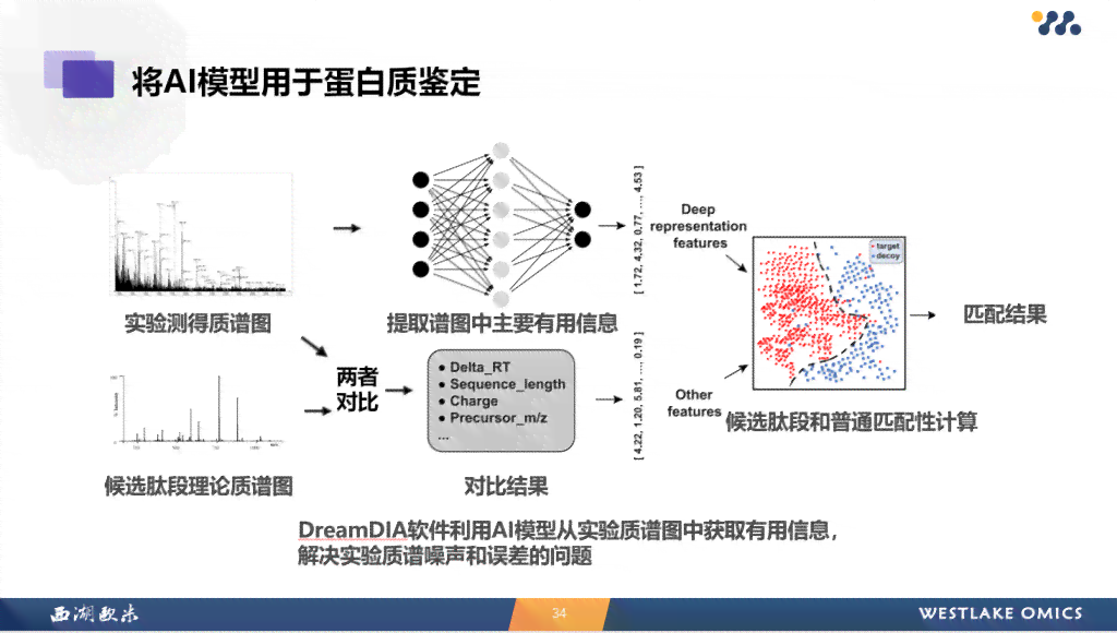 ai蛋白报告
