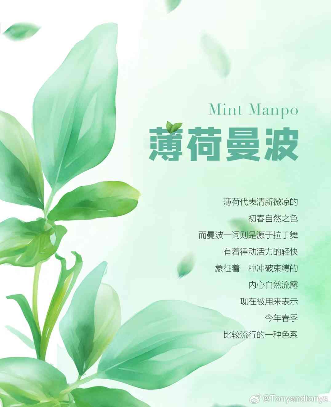 薄荷曼波ai特效文案