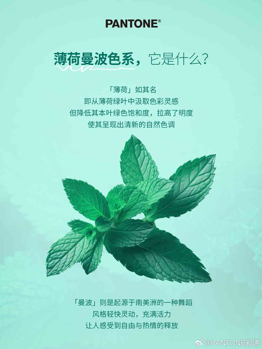 薄荷曼波ai特效文案