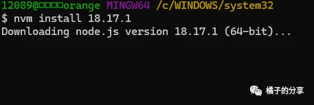 JavaScript脚本在AI环境中的安装与配置：全面指南及常见问题解答