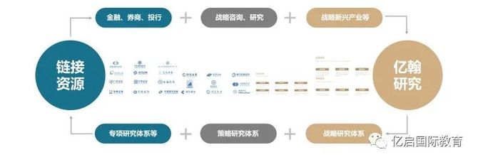 全面解析亿智库：业务范围、研究领域及行业影响力