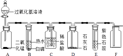 '急性中归类：详解其作为一种安全事故的性质'