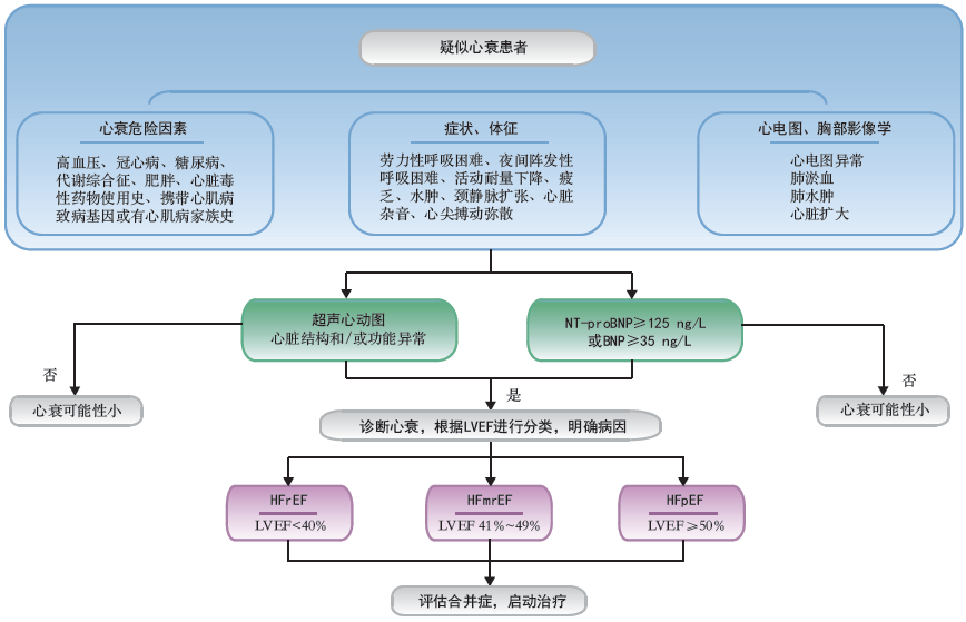 急性心衰患者手术治疗的可能性与评估