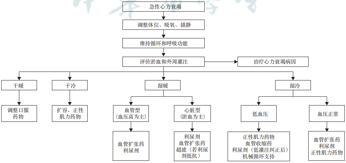 急性心衰患者手术治疗的可能性与评估