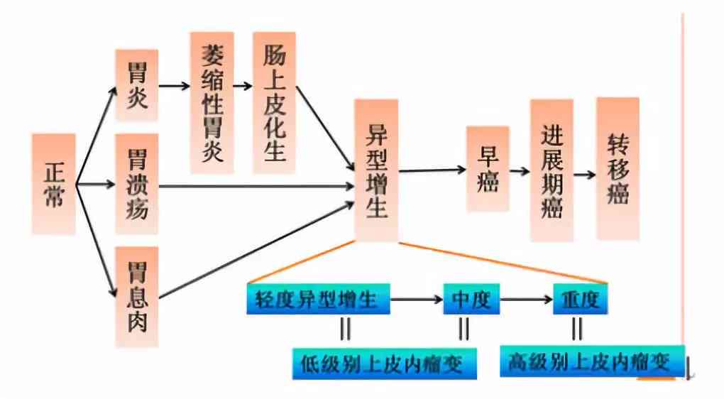 急性胃炎：其严重性解析与疾病定位