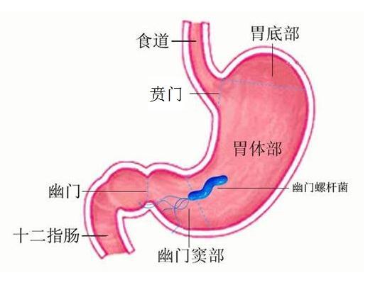 急性胃炎的潜在风险与防治措：了解危害、症状及紧急处理方法