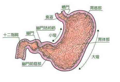 急性胃炎的潜在风险与防治措：了解危害、症状及紧急处理方法