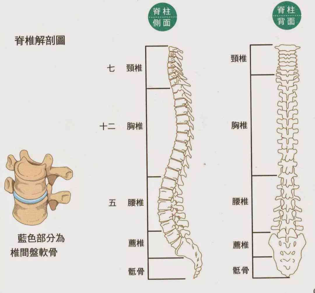 全面解析：急性脊柱炎症的成因、症状与治疗策略