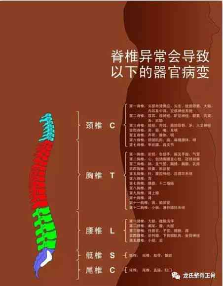 全面解读：急性脊柱炎症的成因、症状、诊断与治疗策略