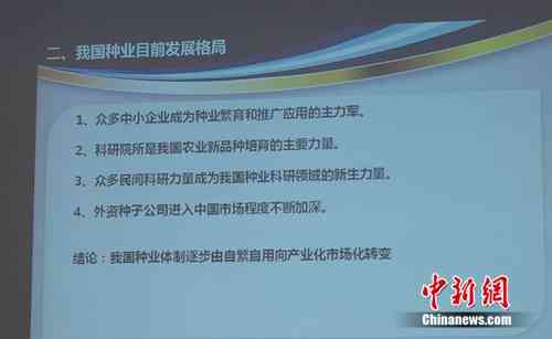AI技术突破与创新：前沿研究成果概述