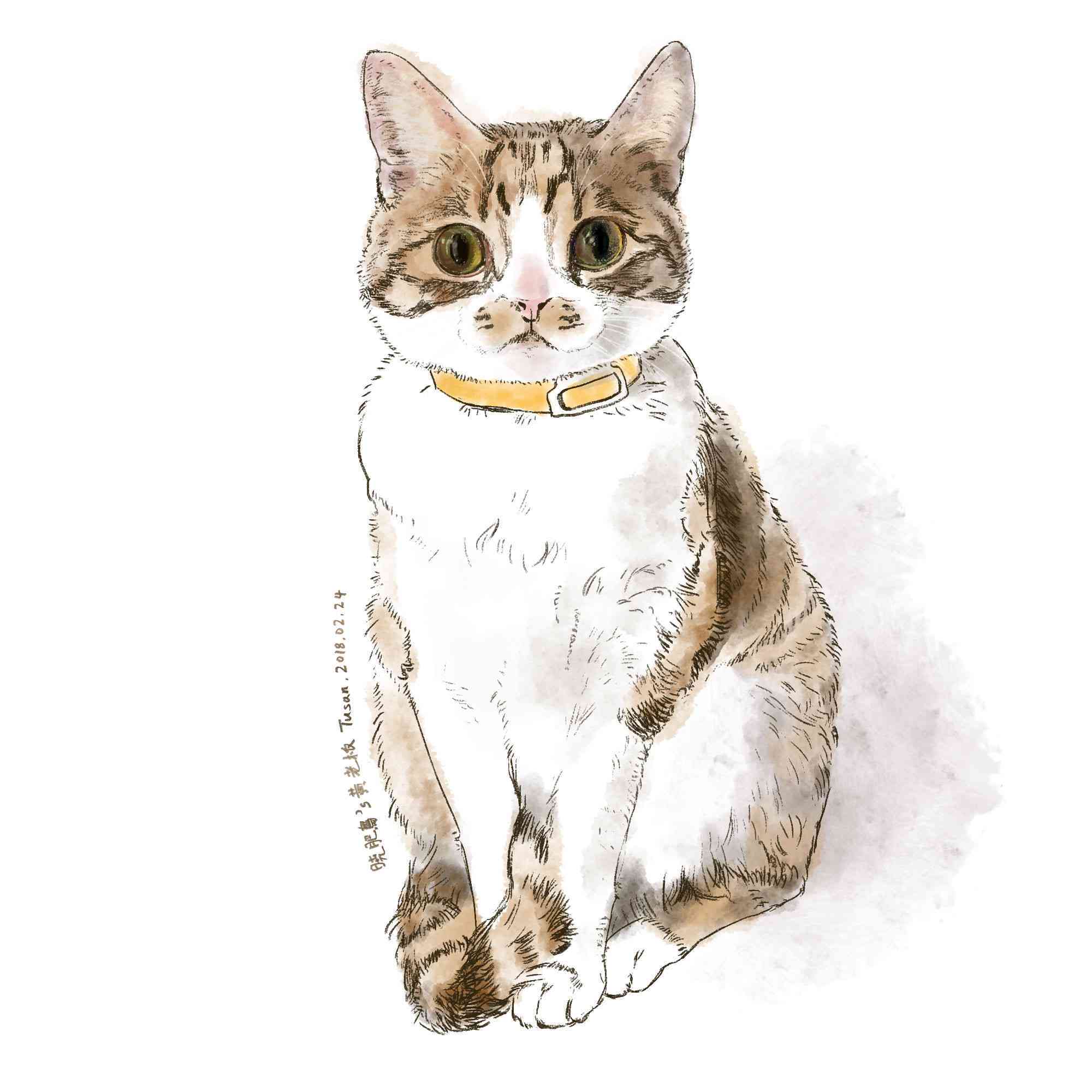 猫咪AI绘画文案高级感：猫咪绘画素材与模板大全