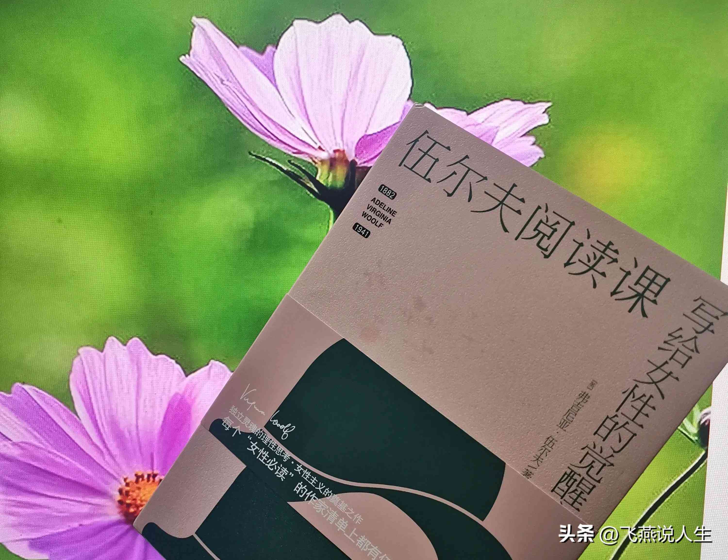 阅读与写作网课前十名推荐及排行榜，含答案哪家好