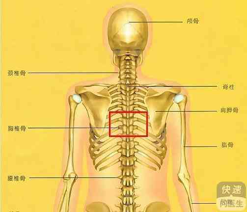 慢性筋膜炎复周期解析：治疗、锻炼与影响因素全解读