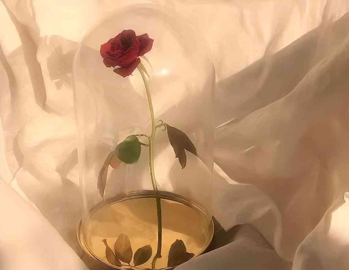 黄油相机ai文案怎么免费