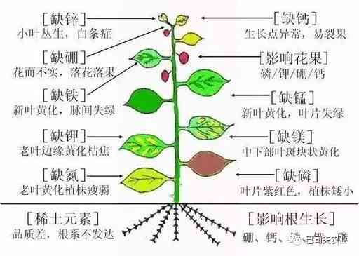 如何应对植物人状态：有效救治与护理指南