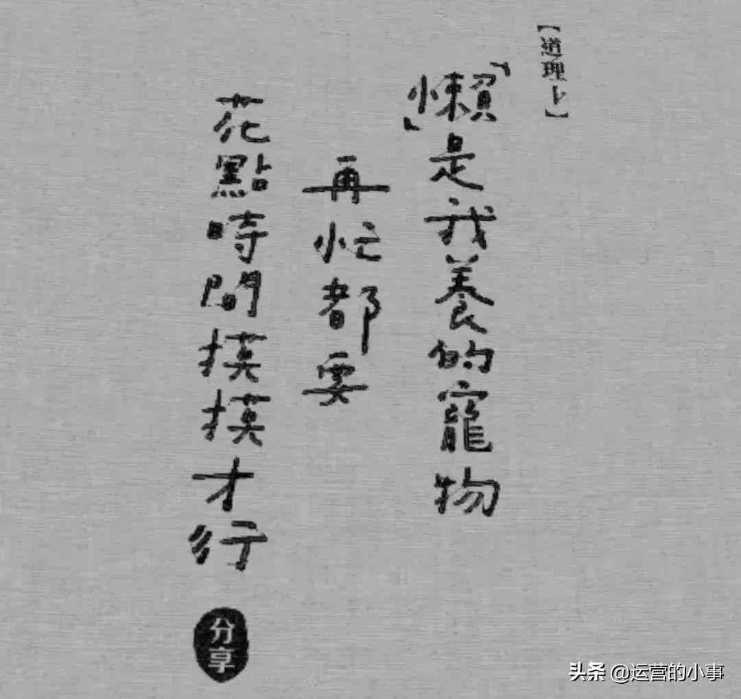 一键生成高效文案：全面盘点免费写文案软件，解决所有文案创作需求