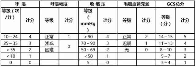 战时创伤分级与评估准则：分类标准与伤情判定策略
