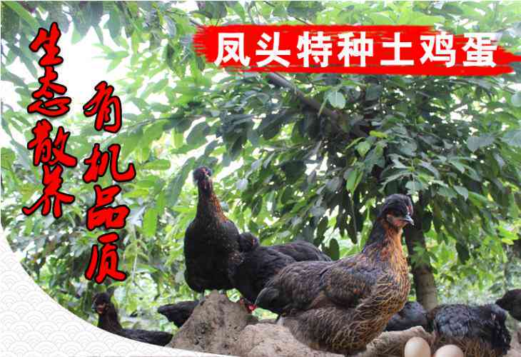 '如何为1688会员设置专属优价格策略'